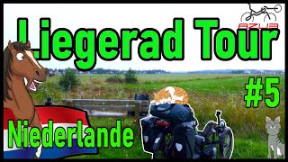 Mit dem Liegerad durch die Niederlande🐴5Pferd im GrabenKatze rettet den Tag🐱LIEGERADTOURVLOG [upl. by Teemus]