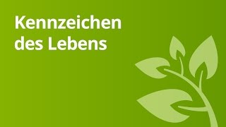 Lebenskennzeichen  Biologie  Biologie  eine Naturwissenschaft [upl. by Annahsohs]