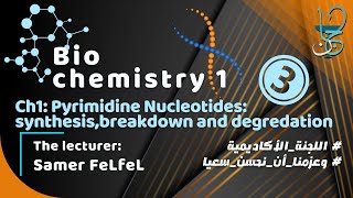 Biochemistry 1 Ch1 part 3  Pyrimidine Nucleotides synthesis breakdown and salvage [upl. by Orford]