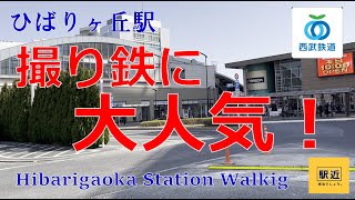 【ひばりヶ丘駅】周辺を散策！東京都西東京市住吉町三丁目【HibarigaokaStation Walking in Tokyo】20233 [upl. by Daley]