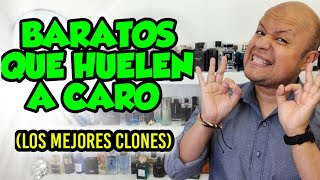 Perfumes BARATOS QUE HUELEN A CARO Los 7 Mejores CLONES 😍👌 [upl. by Matronna]