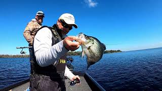 Catching Crappie on Lake George St Johns River Big Crappie Fishing [upl. by Eisnyl395]