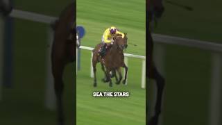 The Toughest Race In Ireland To Win SeaTheStars ICF [upl. by Aitram]