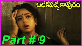 Chilakapacha Kapuram  Telugu Full Length Movie Part9  Jagapathi BabuSoundaryameena [upl. by Cottle880]