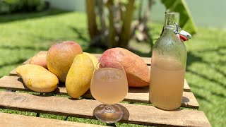 MANGO WINE how to make at home  Healthy Homemade Wine without Yeast  Easy recipe for beginners [upl. by Salocin]