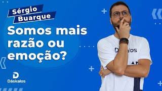 O HOMEM CORDIAL DE SÉRGIO BUARQUE RAÍZES DO BRASIL  SOCIOLOGIA [upl. by Anuqahs]