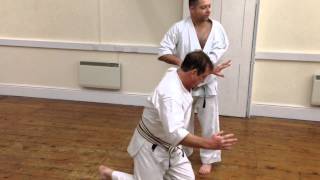 Meikyo Kata  Applications Bunkai  Oyo [upl. by Coben465]