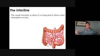 Science 10 SNC2D Digestive Circulatory Respiratory Systems [upl. by Aihselat237]