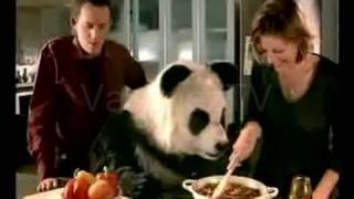 Knorr Beef Tonight Adopt a Panda  UK TV Advert [upl. by Orvil948]