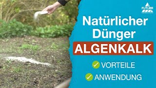 Algenkalk Anwendung 🪴 Natürlicher Dünger gegen Schädlinge [upl. by Susy966]