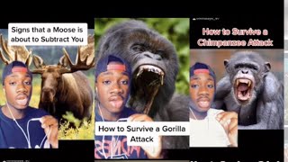 How to Survive Any Animal Attack Mndiaye97 Compilations Original [upl. by Woodberry]