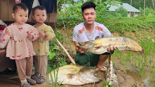 🐊Meal with fish🐬  CookingDelicious food for Twins Linh Single Mother [upl. by Galasyn203]