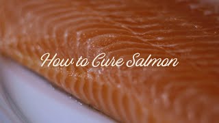 How to Cure Salmon [upl. by Fosque461]