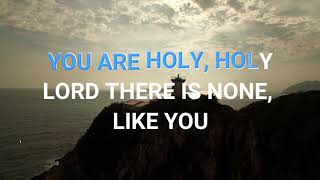 YOU ARE HOLY by Hillsong KARAOKE [upl. by Nesmat]