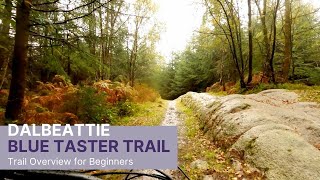 7 Staines Dalbeattie Blue Taster Trail overview for beginners [upl. by Sitto]