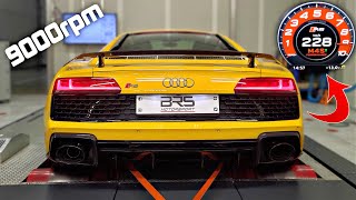 2020 Audi R8 Performance with Stage 1 Ecu amp Capristo XPipe  9000rpm SCREAMING on the DYNO 🔥 [upl. by Disraeli]