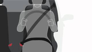 The Basics Adjust the Seat Belts [upl. by Emrich]