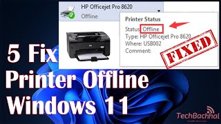 Printer Is Offline Windows 11  5 Fix [upl. by Bonine]