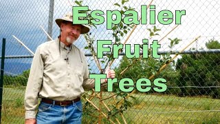 How to Espalier Fruit Trees [upl. by Ylebmik526]