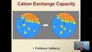 Cation Exchange Capacity [upl. by Florence]