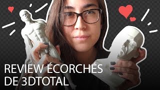 Review des écorchés anatomique de 3DTotal utile [upl. by Korrie]