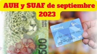 ✅AUH y SUAF de septiembre 2023 cuánto cobro y cuándo es la fecha de pago [upl. by Rustie]