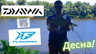 🎣 Десна 2022Сравнения фидерного удилище Daiwa NinjaX против Flagman Squadron Pro ЛЕЩ ГОЛАВЛЬ [upl. by Mallon]