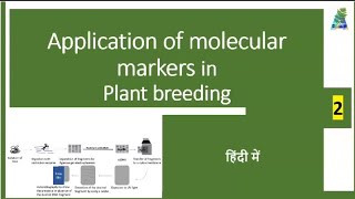 Application of Molecular markers in Plant Breeding agriculture genetics [upl. by Imhskal]