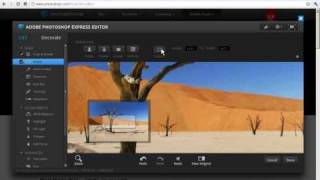 Photoshop Express Editor  crop and resize a photo [upl. by Ellahcim]