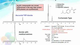 Reversephase HPLC [upl. by Seligmann655]