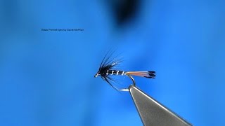 Tying a Black Pennell with Davie McPhail [upl. by Adilen]