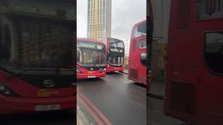 178 261 and 484 at Lewisham Station bus localbus publicbus tfl [upl. by Enelie]