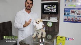 Clinica Animals  Dicas Vet 6  Como dar remédio líquido por via oral [upl. by Kaleb]