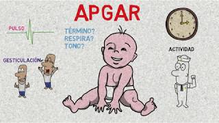 Test de APGAR  Calificación de APGAR [upl. by Cleti]