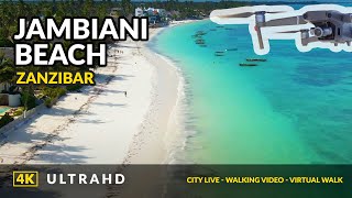 Jambiani Zanzibar 4K ❤️ Cinematic Drone Footage  2021 [upl. by Middendorf]