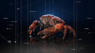 Cinema 4D  Redshift 3D Tutorial  Procedural Textures  Intermediate level [upl. by Lossa]