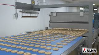 Border Biscuits  Perfect automated solution for biscuit packaging [upl. by Oicnedurp254]