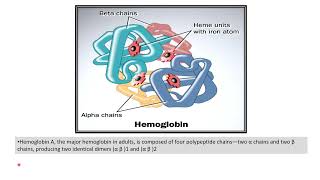 Hemoglobin structure [upl. by Moll]