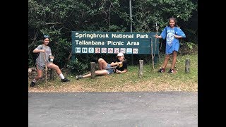 Springbrook Mountain Gold Coast Australia  THE TWIN FALLS 2019 [upl. by Nicolina]