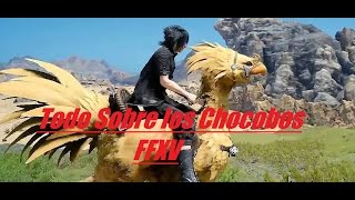 Tutorial Todo lo que hay que saber de los Chocobos Final Fantasy XV [upl. by Navaj]