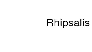 How to pronounce Rhipsalis [upl. by Arman]