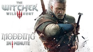 How to install mods in The Witcher 3 in 1 minute [upl. by Amapuna]