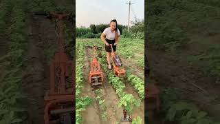 Portable 48V Electric Weeding amp Ditching Machine shotrs  agriculture  shortsvideo tractor [upl. by Amling]