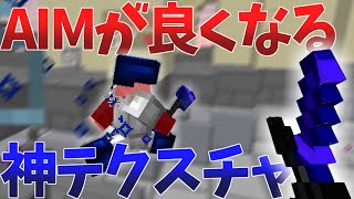 【マイクラ】プロが教えるAIMが良くなるPvPテクスチャ紹介【MinecraftPvP】 [upl. by Littlejohn]