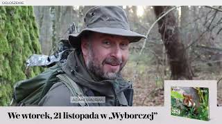 Kalendarz przyrodniczy Adama Wajraka na 2024 we wtorek 21 listopada w Wyborczej [upl. by Darleen]