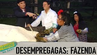 DESEMPREGAGAS FAZENDA [upl. by Yaner]