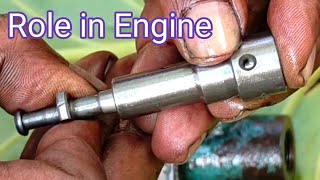 What is the Role of Fuel Pump in Diesel Engine  PLUNGER REPLACEMENT [upl. by Gnok]