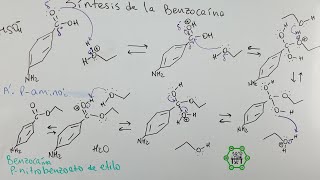 Síntesis de la Benzocaína por Esterificación  Mecanismo de Reacción [upl. by Ryley]