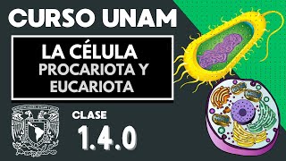 🌱 Célula EUCARIOTA y PROCARIOTA  Diferencias  Examen UNAM  Organelos celulares  Biología [upl. by Nilesoy]