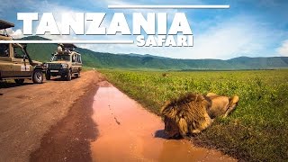 Tanzania Trip  Ultimate Safari HD GoPro [upl. by Collins512]